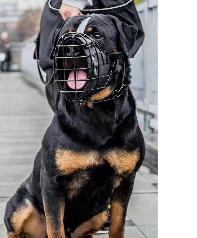 Tactical Mouth Cage Horse Dog Golden Retriever Demu Impact Muzzle